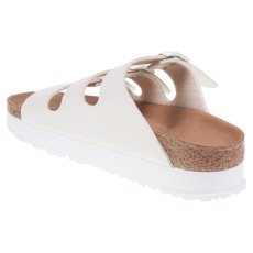 Florida III BF Florida III BF