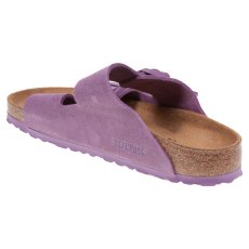 Arizona LEVE Arizona LEVE