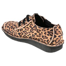 Funny Dream Funny Dream