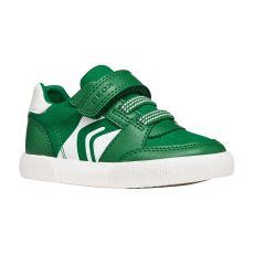 B Gisli B A B551NA B Gisli B A B551NA