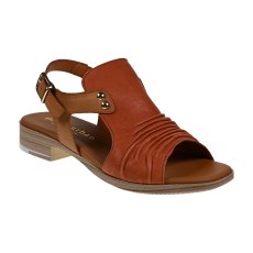 Sunset Vacuno Sunset Vacuno