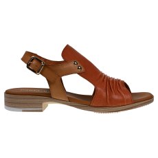 Sunset Vacuno Sunset Vacuno