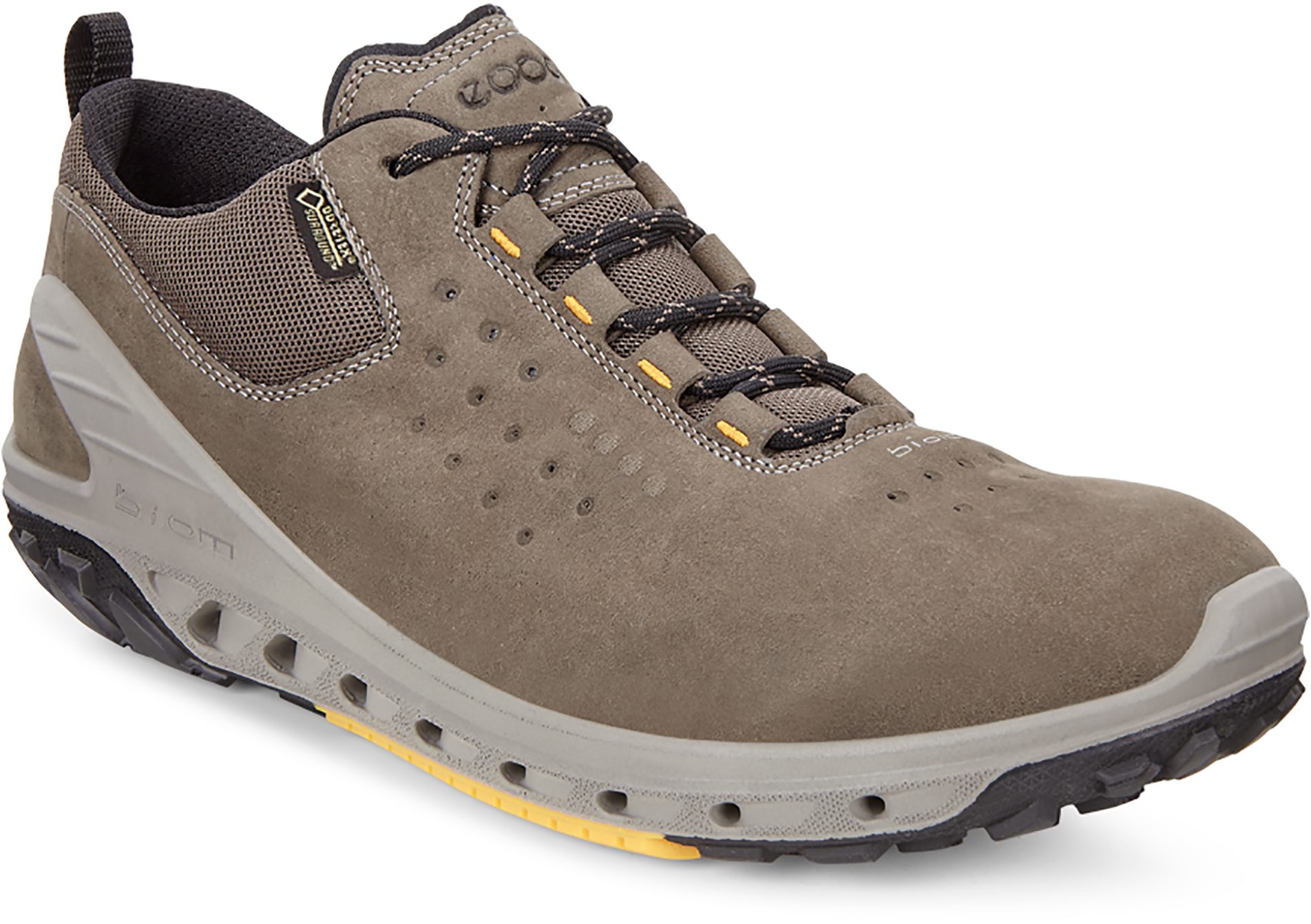 Ecco biom venture gtx review online