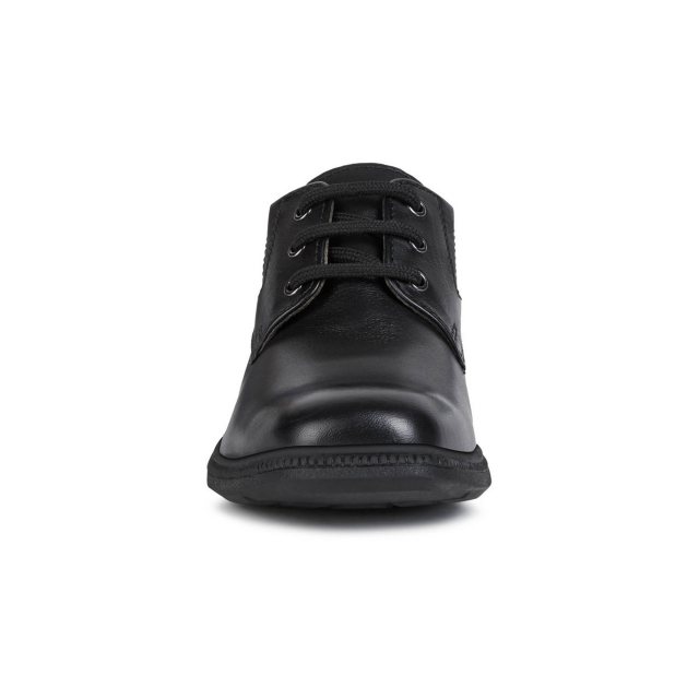 Geox federico laced outlet shoes