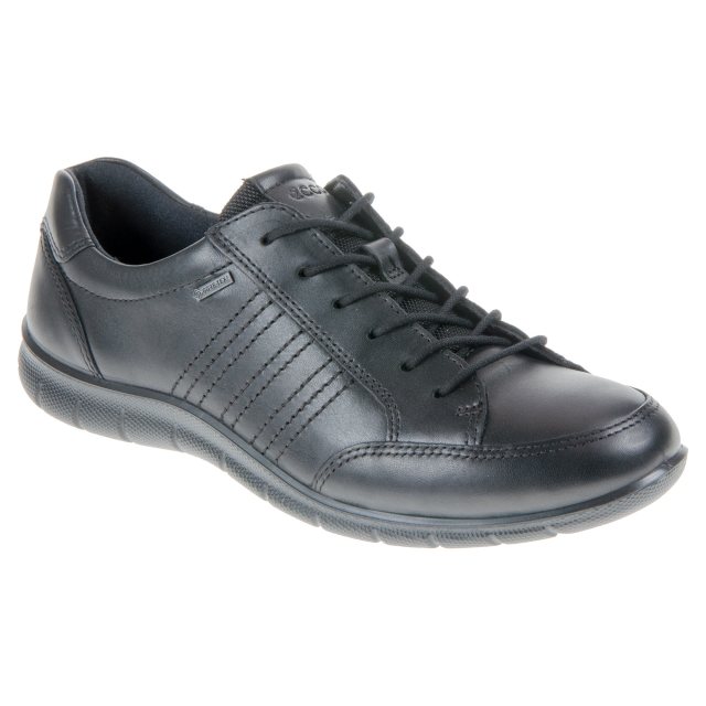 Ecco Babett Shoe Gore-Tex Black 210353 