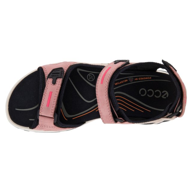 Ecco best sale receptor pink