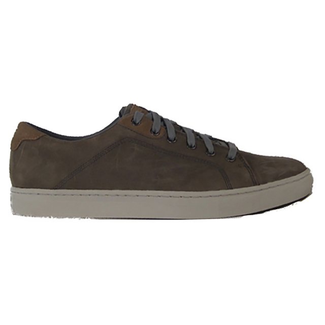 Skechers Elvino - Meris Charcoal 64960 CHAR - Casual Shoes - Humphries ...