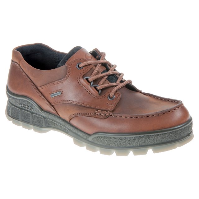 Ecco Track 25 Gore-Tex Lo Bison / Bison 83171452600 - Outdoor Shoes -  Humphries Shoes