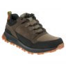 Clarks ATL Trek Lo Gore-Tex